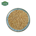 China best quality cumin seed spices supplier